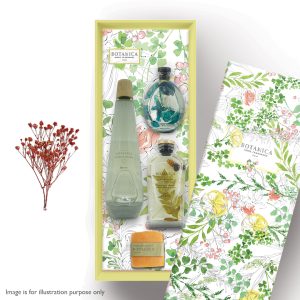 Botanica Gift Set (L) – 3 Items (Mix & Match)